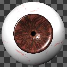 EyeBrownB00S animated: 30 frame dilation